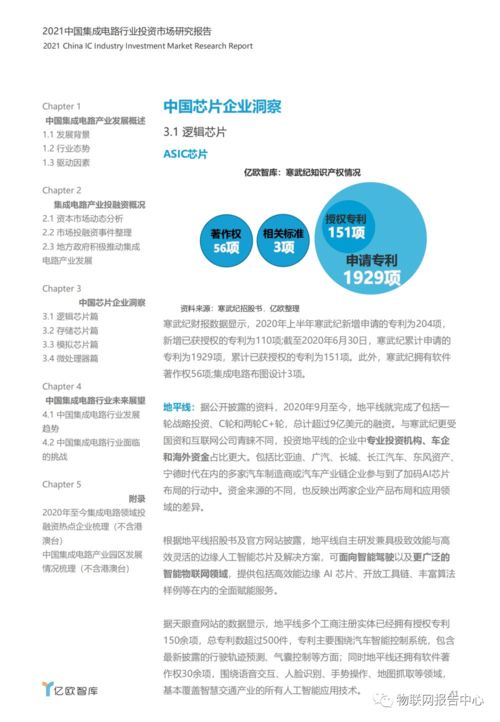 2021年中國集成電路設(shè)計行業(yè)投資市場研究報告